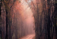 德拉富恩特：最先批评亚马尔的，正是那些说他是天才的人.