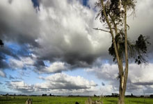 [NBA]库里21+10 勇士大胜黄蜂.