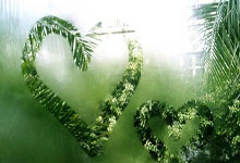 亚星：跑者 新华社 马拉松赛事.