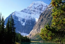 亚星：中国国际羽毛球大师赛落幕 国羽斩获四金五银.