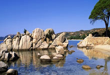 2025九江马拉松开跑 2万名中外跑者竞速庐山脚下.